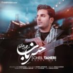 دانلود آهنگ سهیل طاهری حس ناب